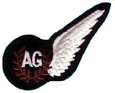 RAF Air Gunner badge